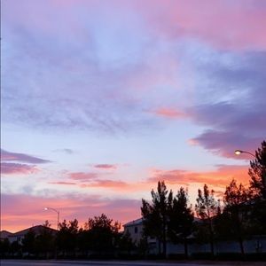 Meet your Posher, Peyton